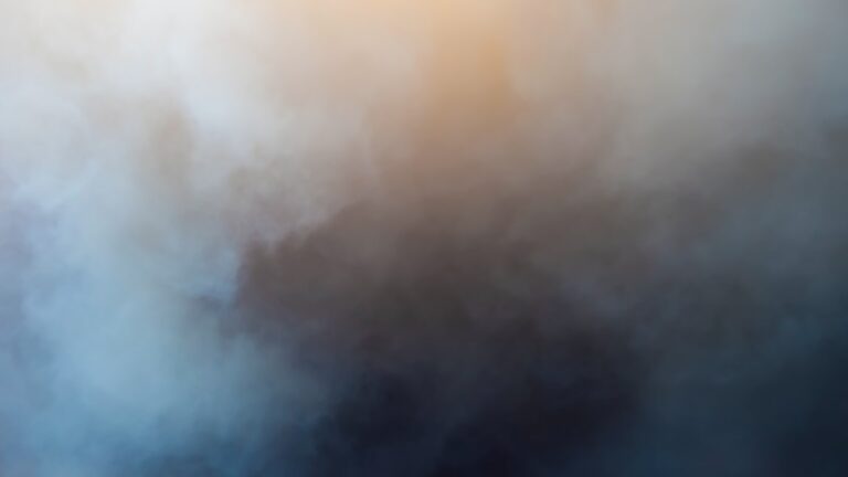 Ink Joys and Self Poetics