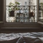 Falling in love during a global pandemic