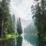 What we do to nature