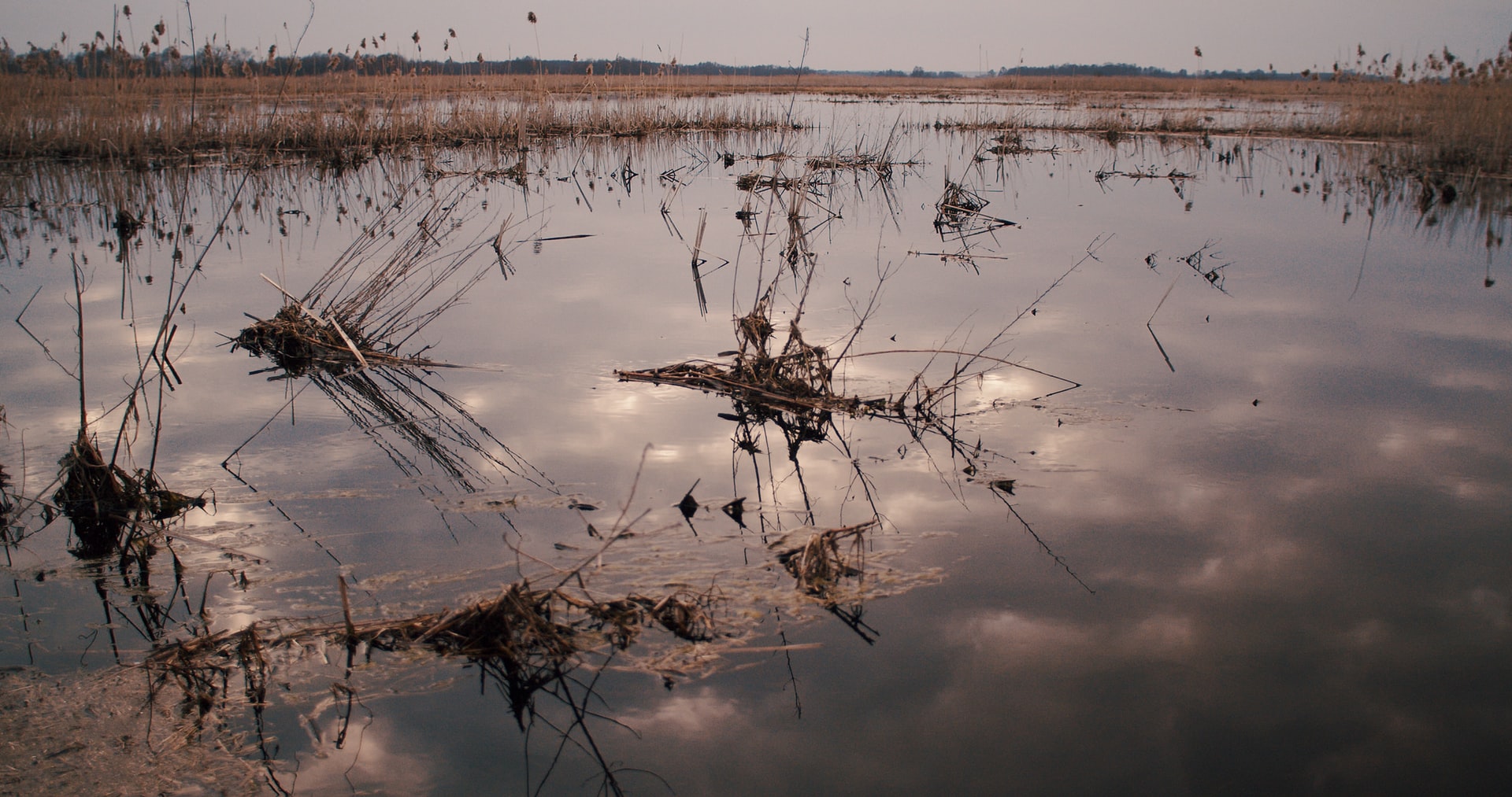 Floodland