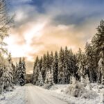 Winter solstice