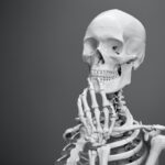Osteology