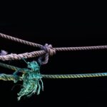 Strings
