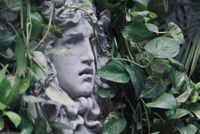 Good Medusa