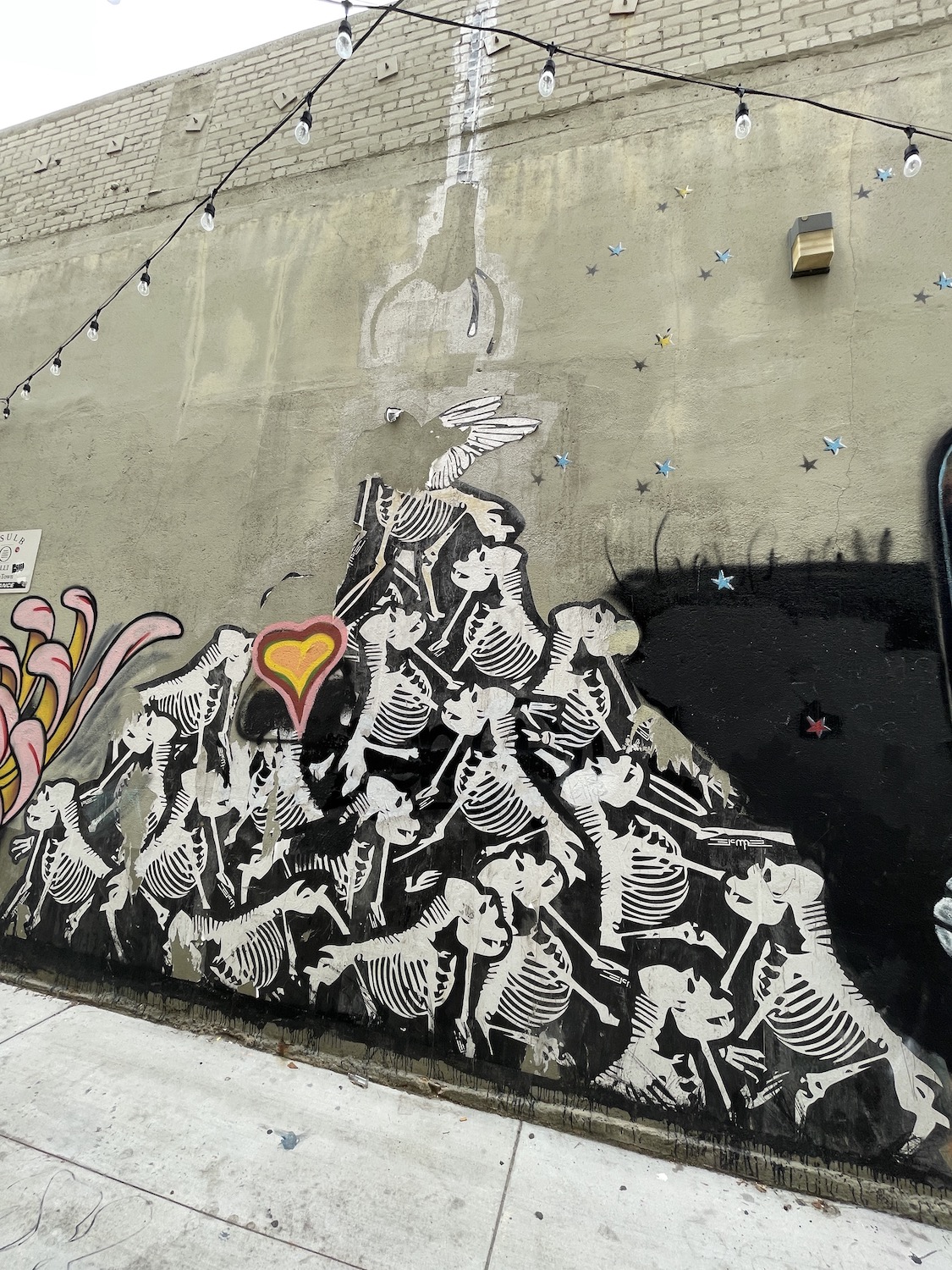 I am a permanently disabled & neurodivergent photographer whose recent work has appeared in Wrondgoing Magazine, Storm Cellar, Stirring, Hyacinth Review, Rejection Letters, Agapanthus, and ZiN Daily. Thanks. Dylan Willoughby