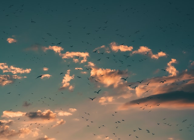 I Read It to Impress A Guy: A Look at Cormac McCarthy’s “The Passenger”
