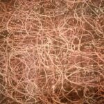 Untitled by Andy Graber, Pencil and Oil Pastels