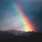 The Many Ways the World Ends–and Begins: A Review of Kelsey Socha’s “An Archive of Brightness”