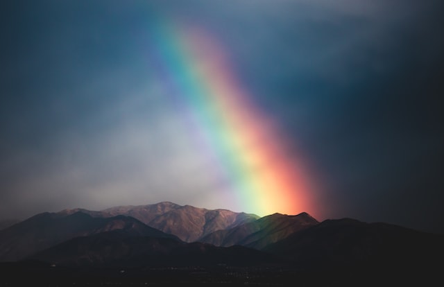 The Many Ways the World Ends–and Begins: A Review of Kelsey Socha’s “An Archive of Brightness”