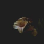 Blooming On My Own Time