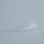 Breath