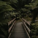 We Crossed a Bridge and it Trembled