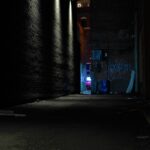 Queer Gangs, Back-Alley Plastic Surgery, Underground Porn, and the Path to Freedom: A Review of Samantha Kolesnik’s “Waif”