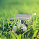 Verses on Verses | Second Saturday Singles, August 2023