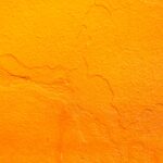 An Ode to the Cuban Diaspora and Cuba’s Historic Soviet Ties: A Review of Cristina Garcia’s “Vanishing Maps”