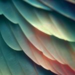 Visual Poetry by Melissa Nunez