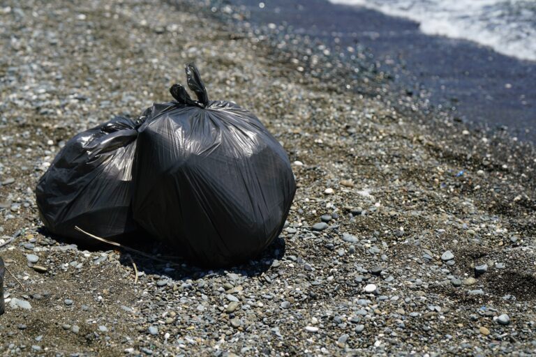 THE REFUSE COLLECTOR   