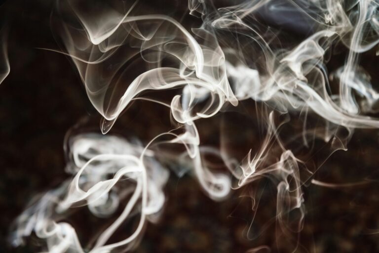 A Review of S. Rupsha Mitra’s “Smoked Frames”