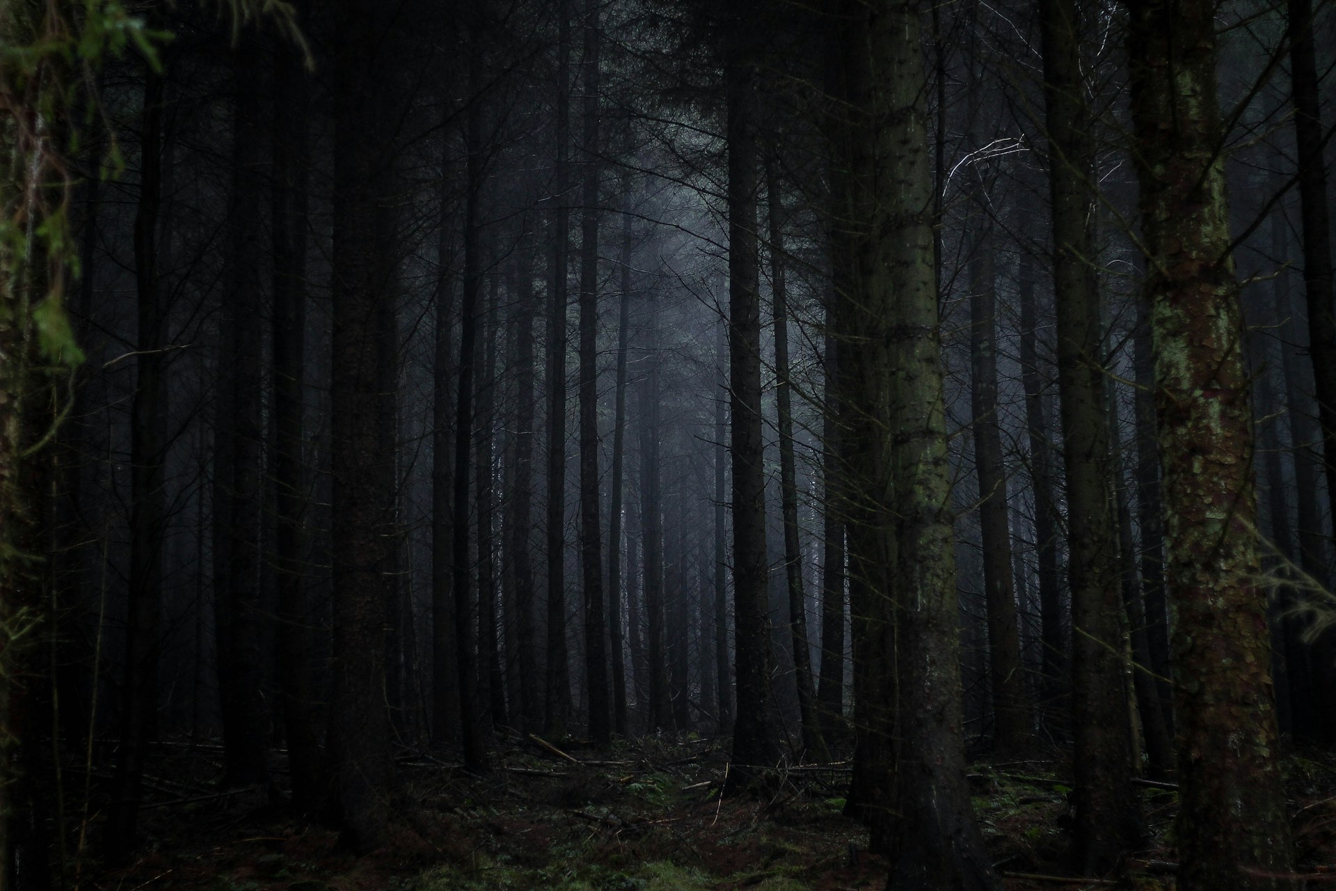 A review of The Dark Descent of Elizabeth Frankenstein by Kiersten White