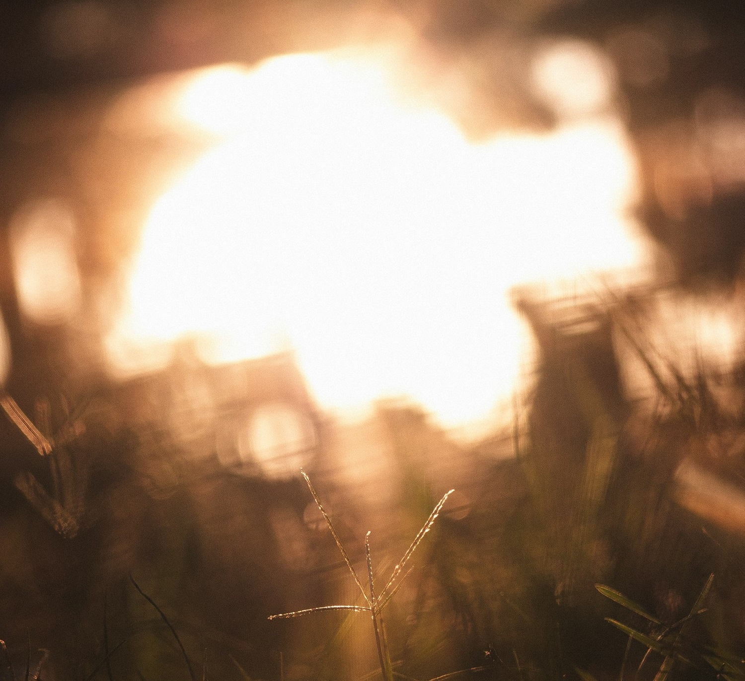 Abstract art by Cyrus Carlson