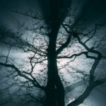 Reel & Make Believe | Never Say “I’ll be right back”, and NEVER trust an Eric!