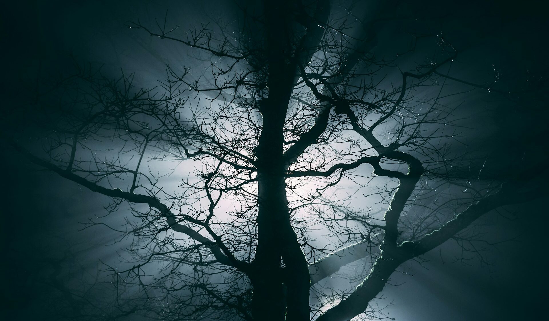 Reel & Make Believe | Never Say “I’ll be right back”, and NEVER trust an Eric!