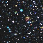 Our 2026 Best of the Net nominees