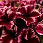 There’s a Tunnel Under Me