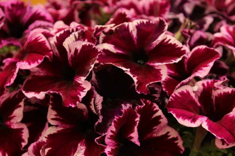 There’s a Tunnel Under Me