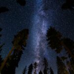 Misalignment in the Stars