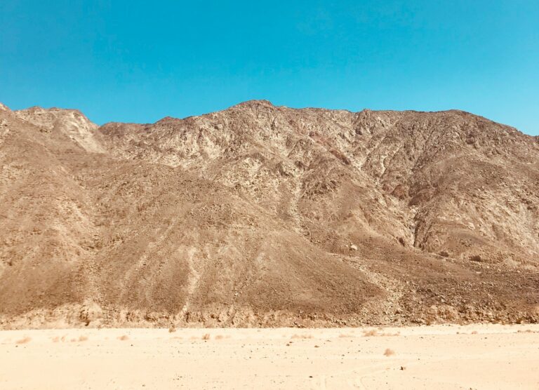 On the Margins of War and Longing