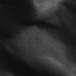 Polyphony at the Limits of Language (in Cristina Rivera Garza’s Death Takes Me)