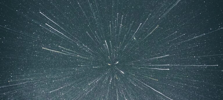 Photo Casey Horner/Unsplash