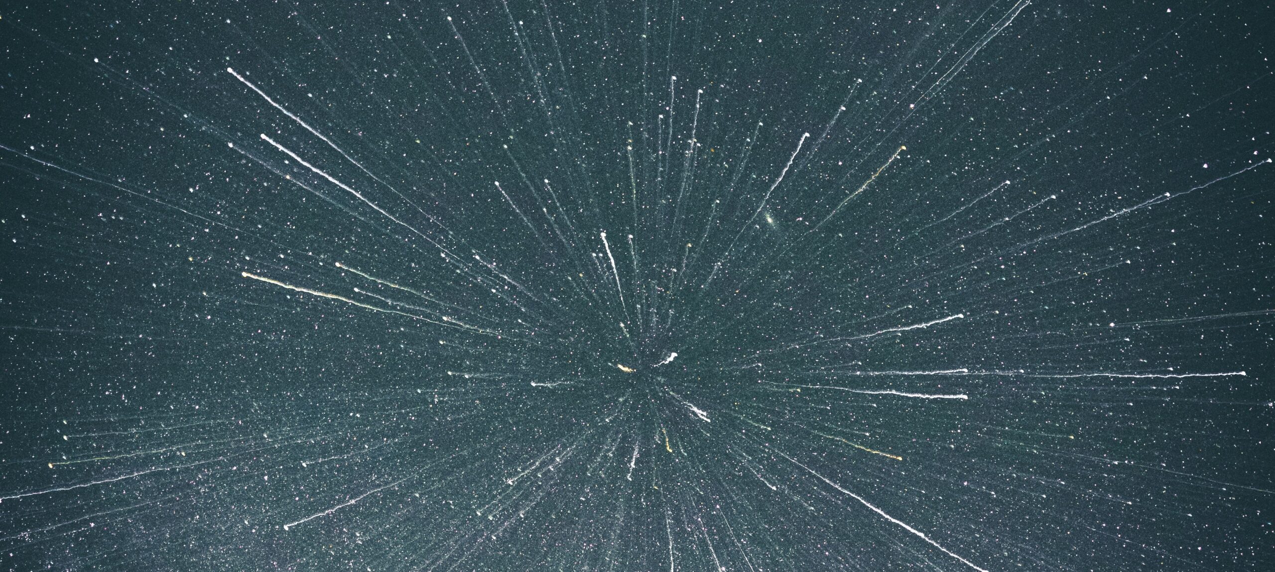 Photo Casey Horner/Unsplash