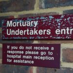 Reel & Make Believe | Undertone & The Mortuary Assistant (spoiler free)