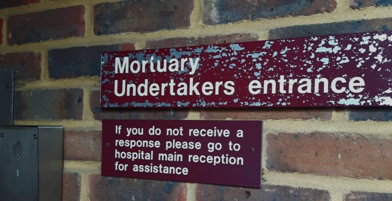 Reel & Make Believe | Undertone & The Mortuary Assistant (spoiler free)