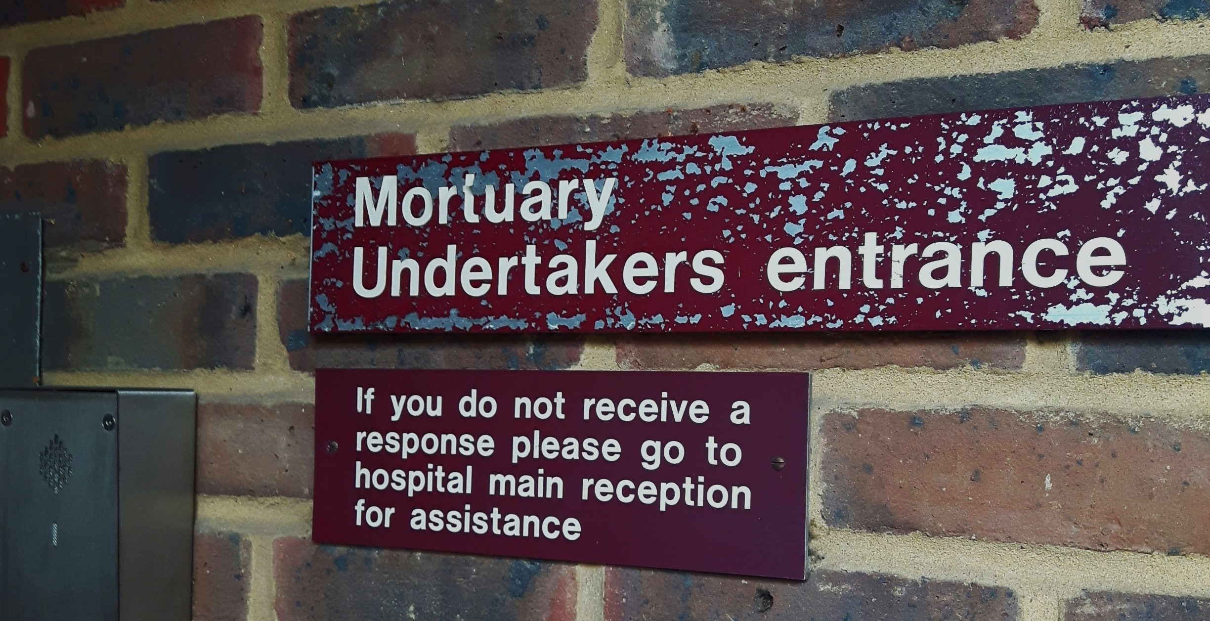 Reel & Make Believe | Undertone & The Mortuary Assistant (spoiler free)