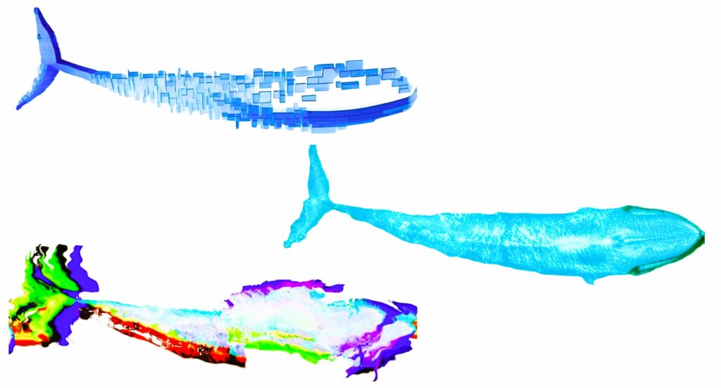 "blue whale pod 3" Robert Fleming