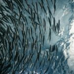 Photo Unsplash/Lance Anderson