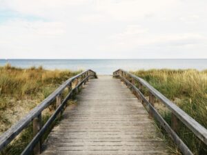 Photo Unsplash/Anton Sharov