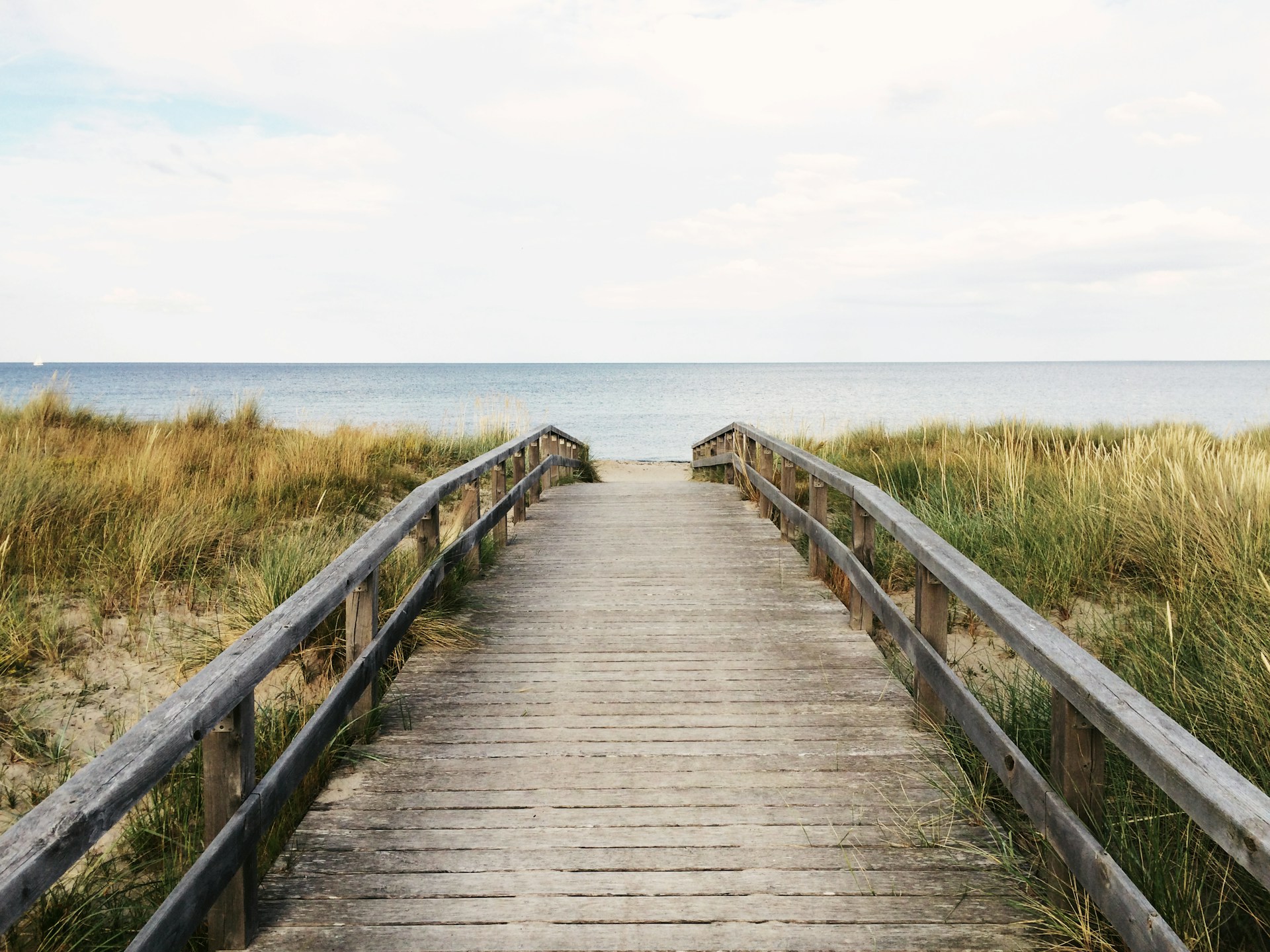 Photo Unsplash/Anton Sharov