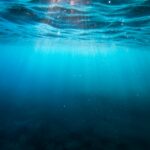 Photo Unsplash/Cristian Palmer