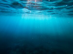 Photo Unsplash/Cristian Palmer