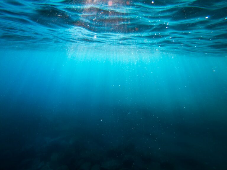 Photo Unsplash/Cristian Palmer