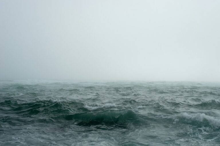 Photo Unsplash/John Towner