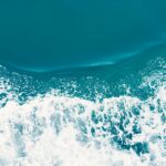 Photo Unsplash/Masaaki Komori