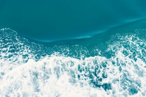 Photo Unsplash/Masaaki Komori