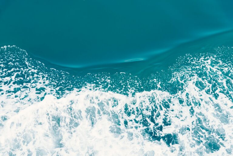 Photo Unsplash/Masaaki Komori