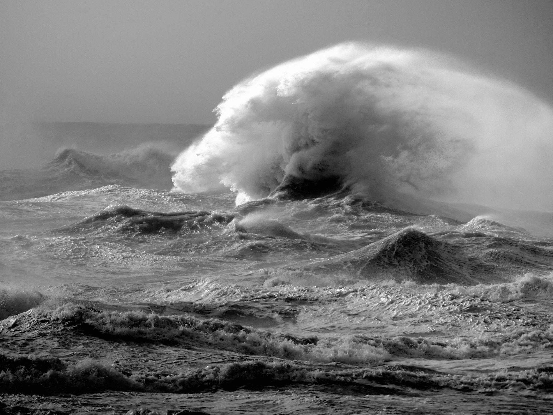 Photo Unsplash/Ilona Froehlich