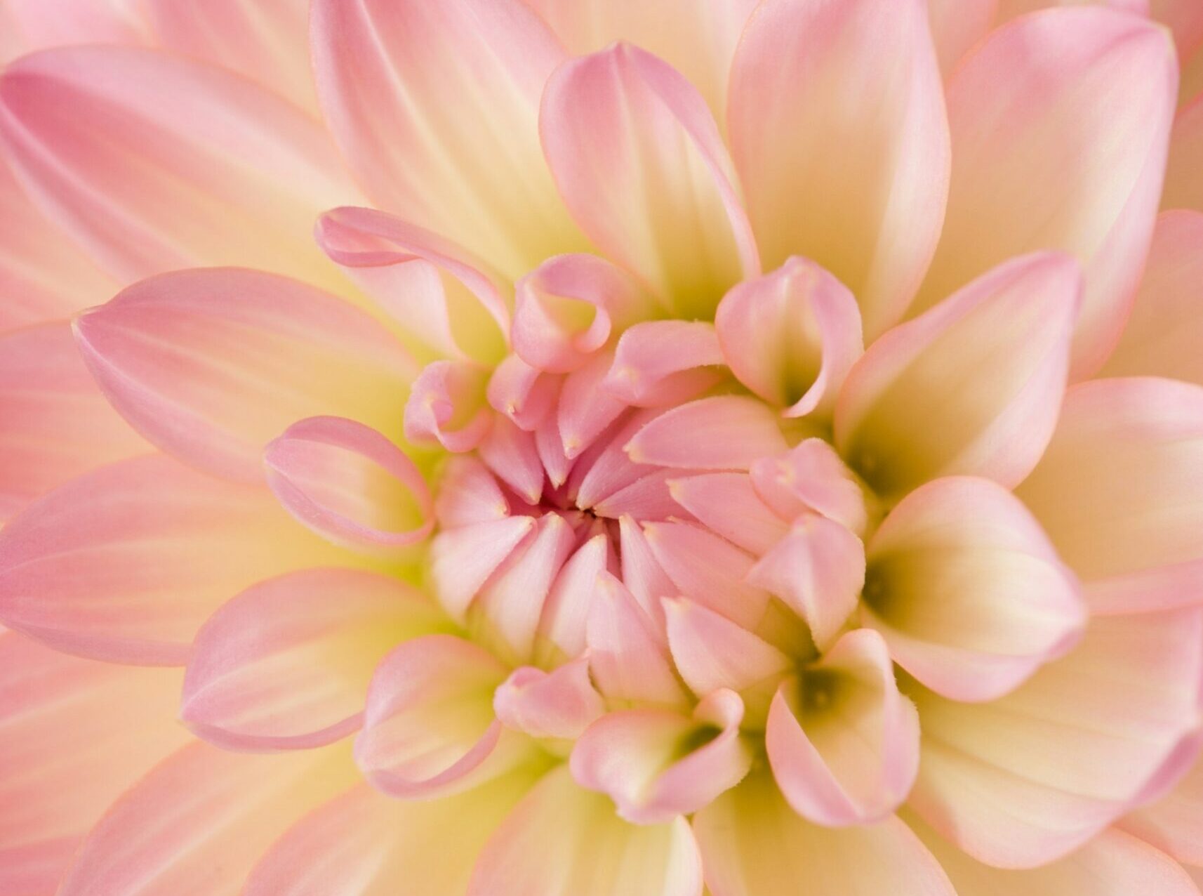 Photo Unsplash/Janine Joles